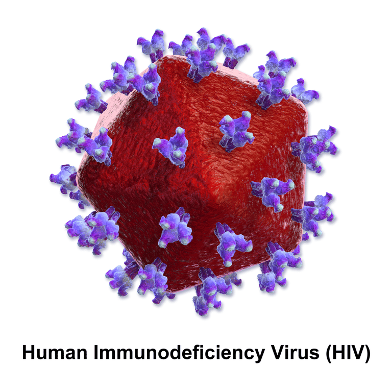 ilustrasi virus HIV (commons.wikimedia.org/BruceBlaus)