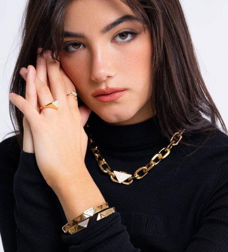 Charli D'Amelio (instagram.com/charlidamelio)