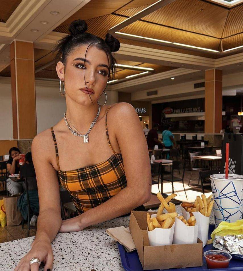 Charli D'Amelio (instagram.com/charlidamelio)