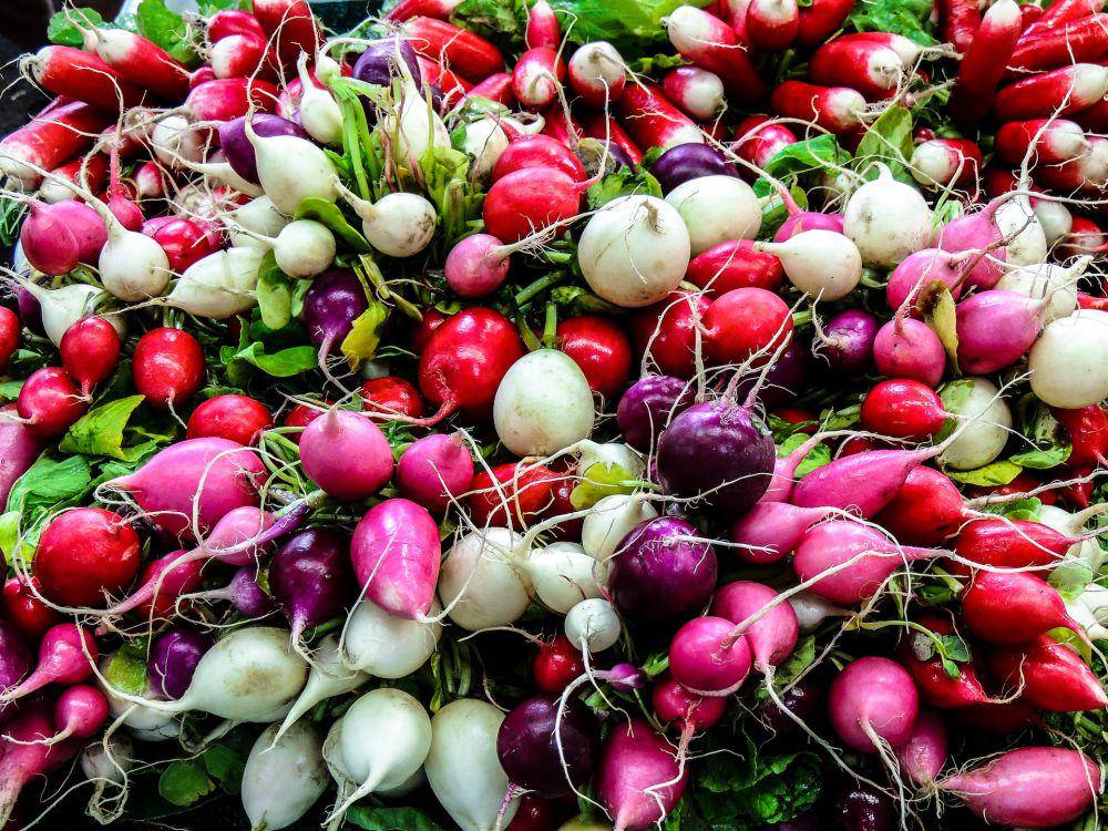 ilustrasi berbagai jenis radish (unsplash.com/philippe_collard)