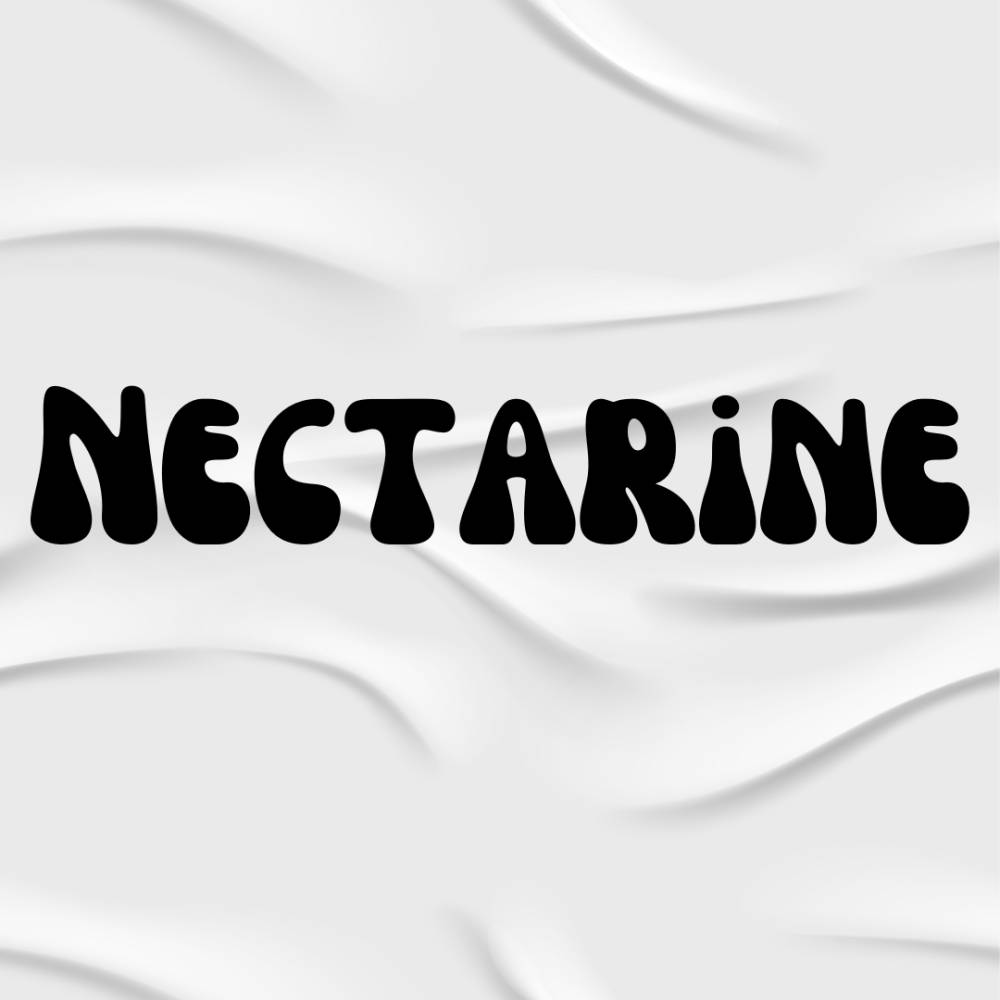 Ilustrasi font canva (dok. Canva)