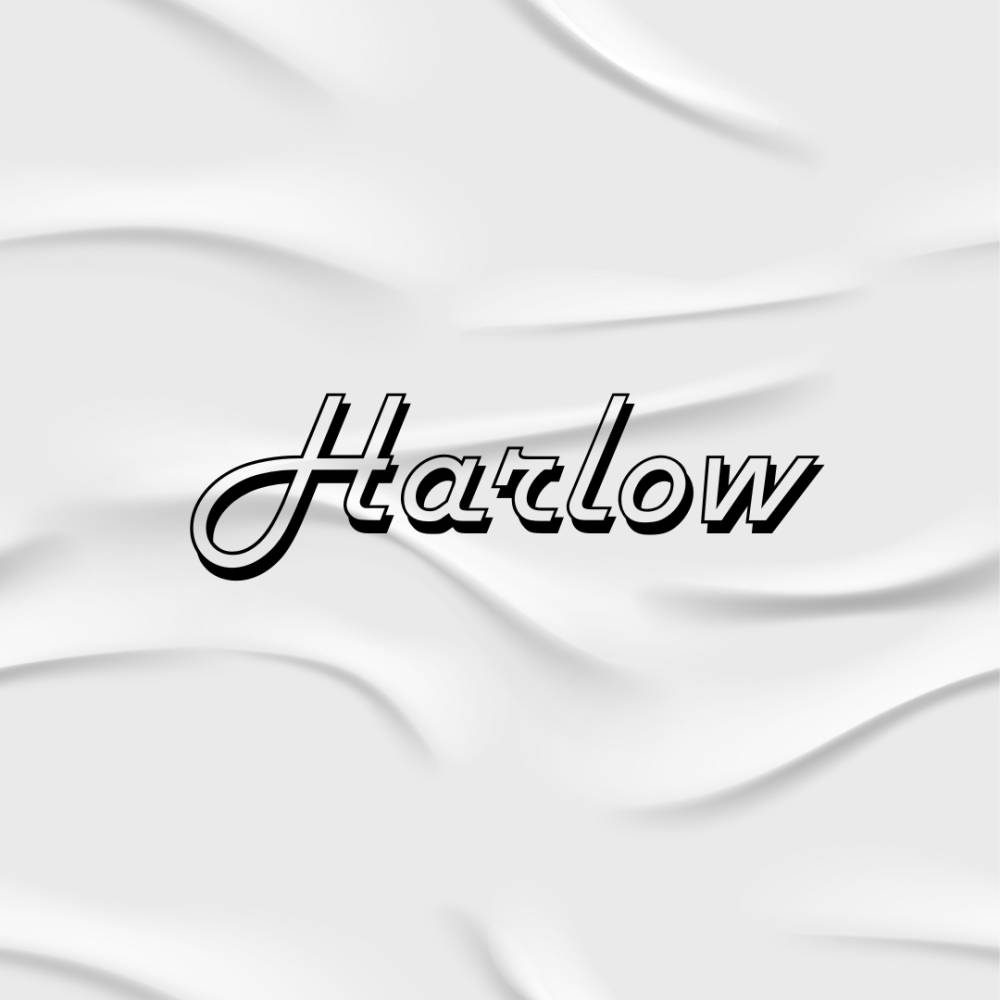 Ilustrasi font canva (dok. Canva)