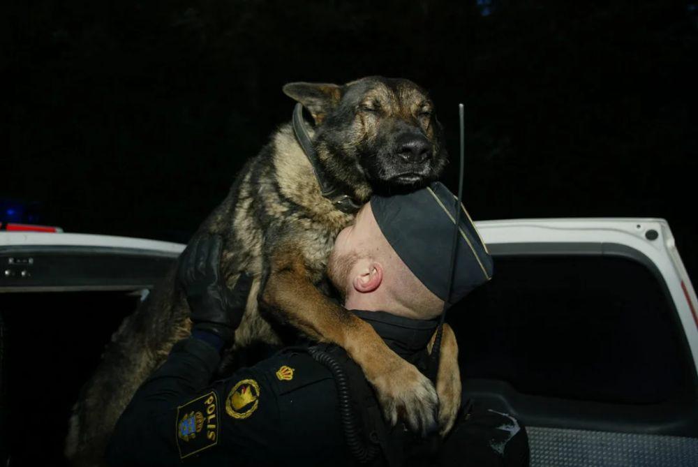 9 Potret Lucu Anjing Polisi, Tak Ada Seram-Seramnya!