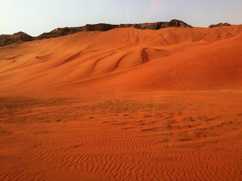 Potret Desert Safari Dubai (pixabay.com/KGFoto)