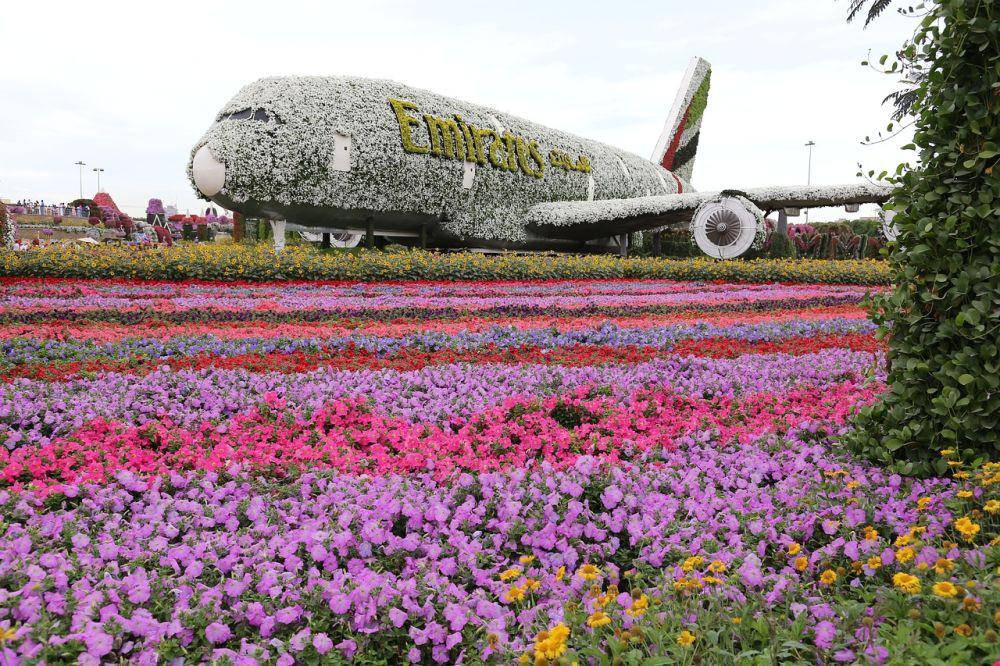Potret Miracle Garden (pixabay.com/junaida279)