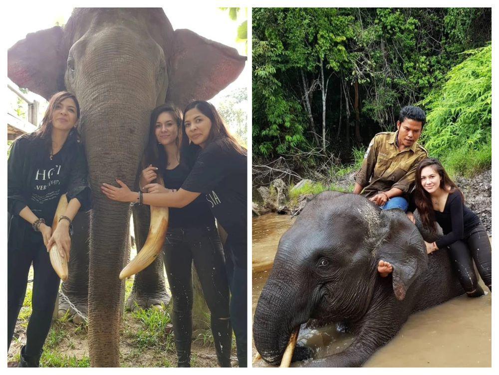 8 Potret Kenangan Wulan Guritno Bareng Gajah yang Mati Diracun, Haru!