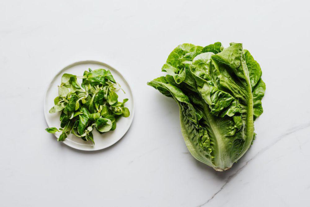 ilustrasi bayam dan selada romaine (pexels.com/Karolina Grabowska)