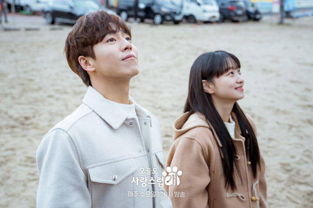 cuplikan drama A Good Day to Be a Dog (dok. MBC/A Good Day to Be a Dog)