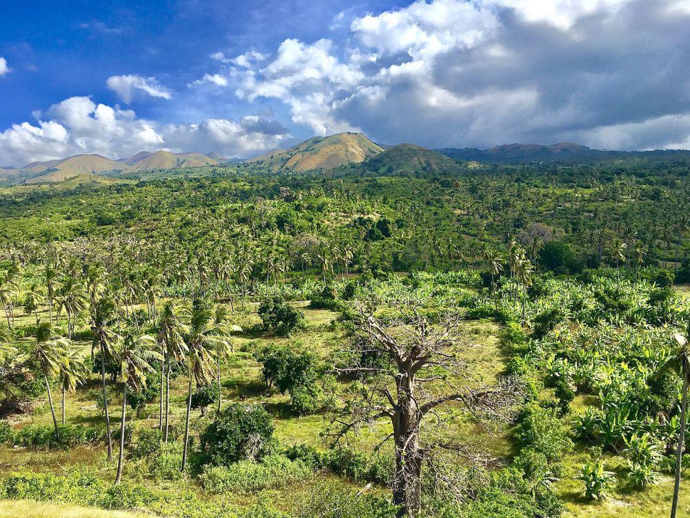 Comoros ( John Crane, CC BY 2.0, via Wikimedia Commons)