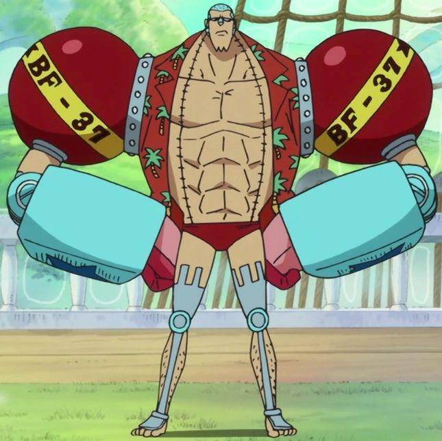 Franky Anime Post Timeskip Infobox (dok. Toei Animation/One Piece)
