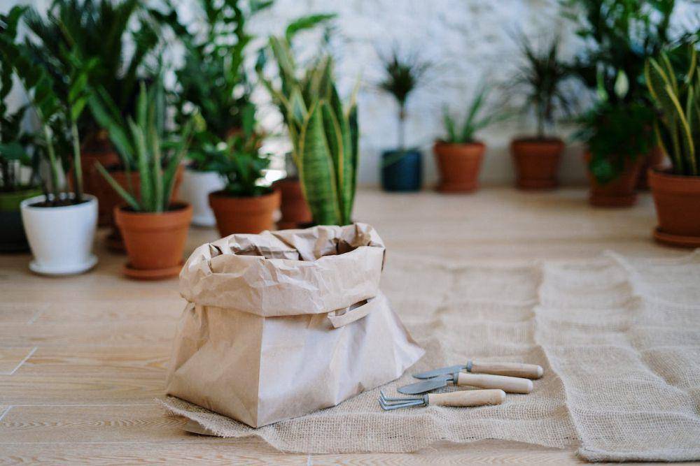 ilustrasi peralatan berkebun (pexels.com/cottonbro studio)