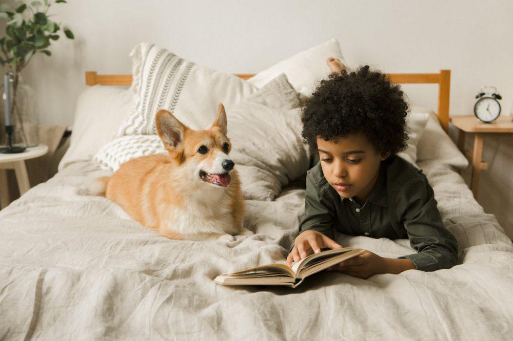 ilustrasi anak belajar (pexels.com/EKATERINA BOLOVTSOVA)
