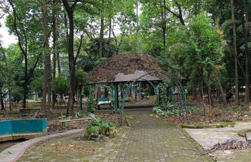 Taman Kota Bekasi (google.com/maps/Bunga Aurora)