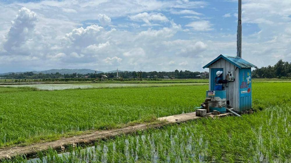 Petugas PLN melakukan pengecekan Stasiun Penyedia Listrik Umum (SPLU) di pesawahan Kelurahan Mattiro Deceng, Kabupaten Maros, Sulawesi Selatan. (Dok. PLN Sulselrabar)