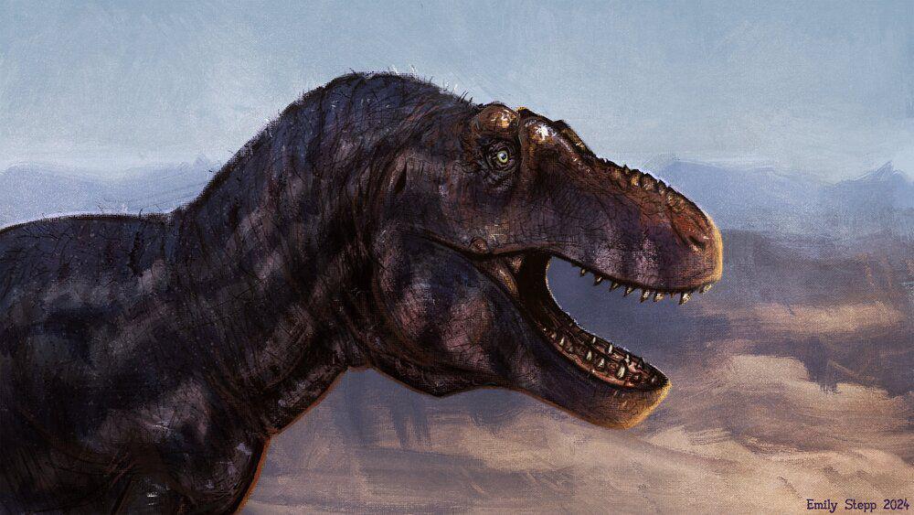 Tyrannosaurus mcraensis (twitter.com/Emily Stepp)