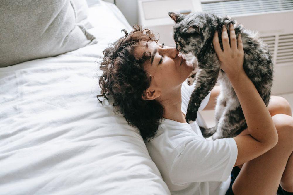 6 Cara Sustainable Living untuk Pemilik Kucing