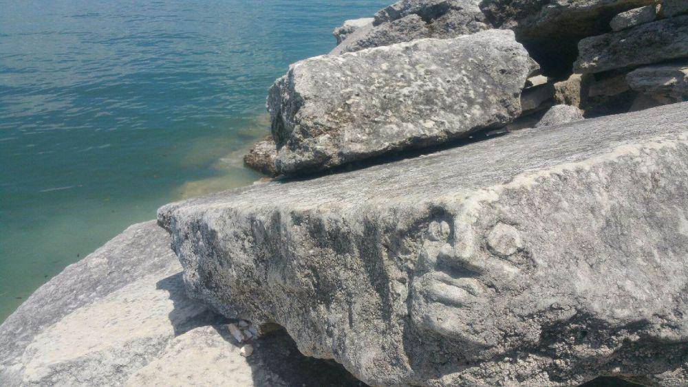 potret bentuk batu unik (reddit.com/r/Pareidolia)