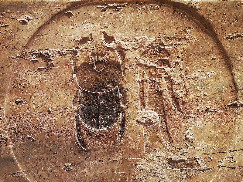 ilustrasi gambar scarab beetle ada di peninggalan Mesir (flickr.com/Carole Raddato)