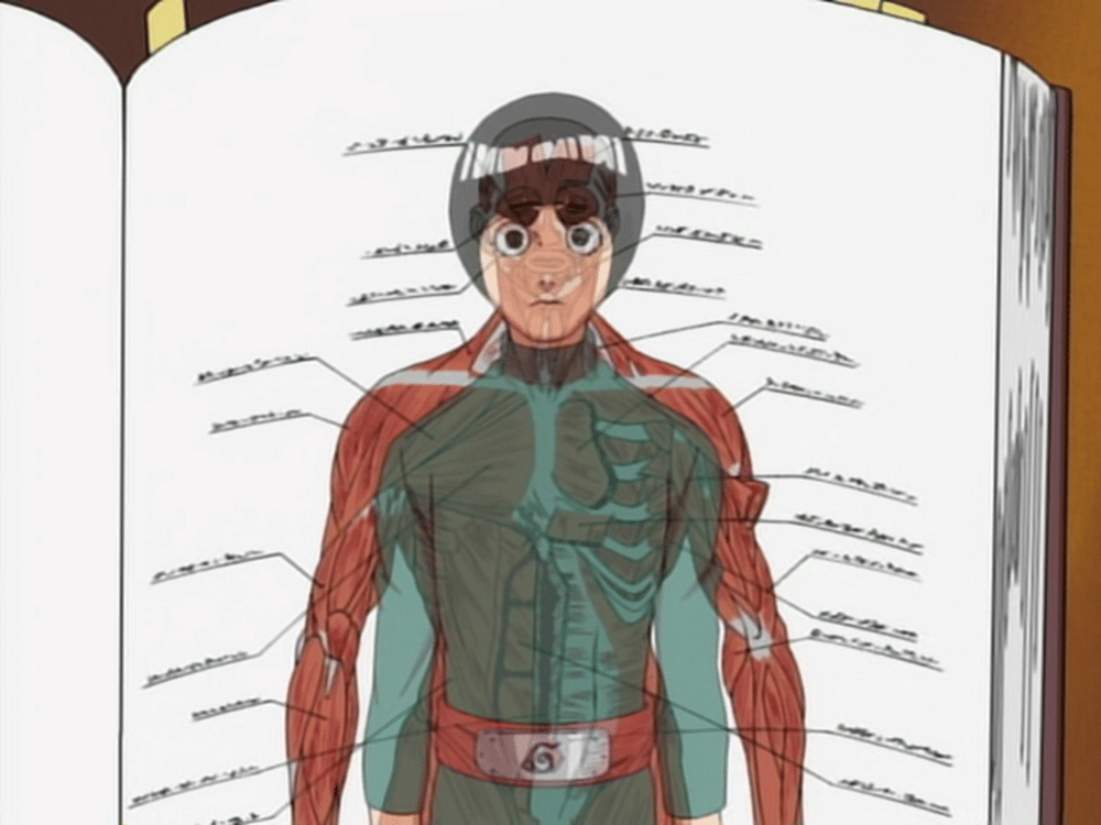 studio pierrot/Naruto