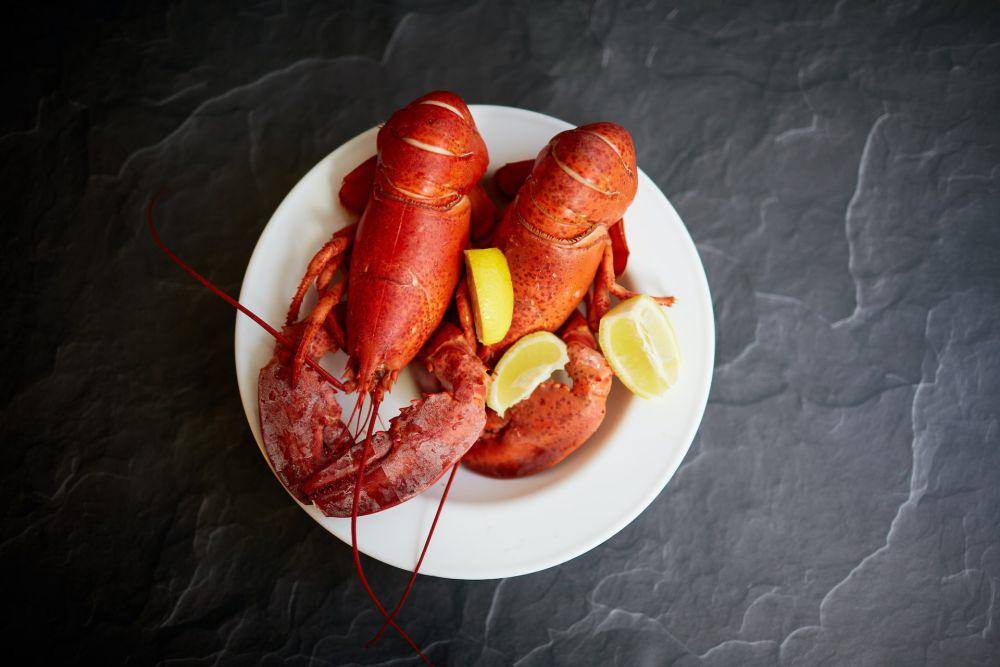 ilustrasi lobster (unsplash.com/David Todd McCarty)
