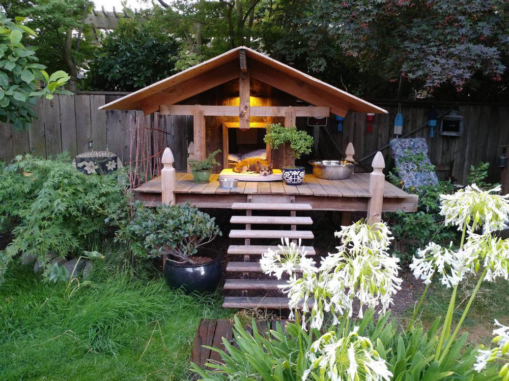 10 Desain Rumah Anjing Paling Keren, Bikin Takjub Semua!