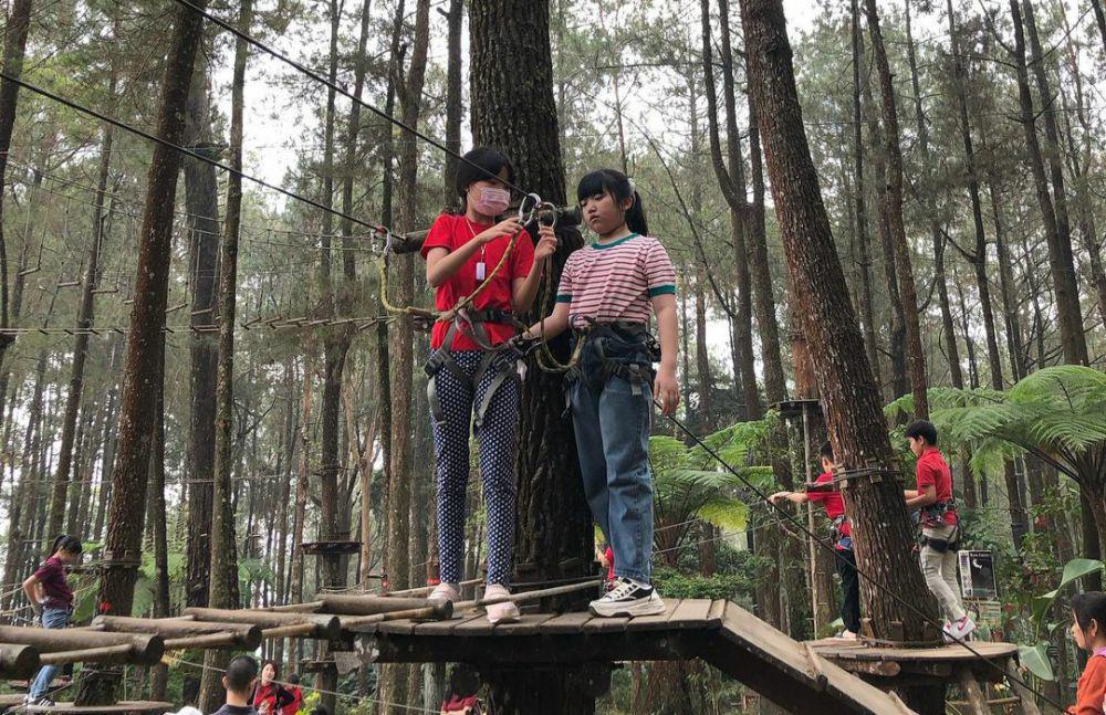 Kopeng Treetop(instagram.com/kopengtreetop)