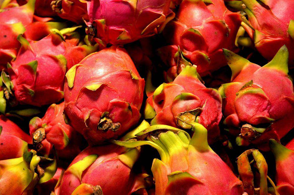 ilustrasi buah naga segar dan matang (pixabay.com/PublicDomainPictures)