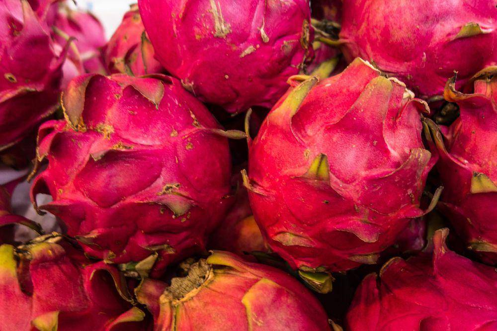 ilustrasi buah naga segar dan matang (pixabay.com/KBaucherel)