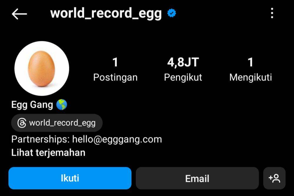 ilustrasi akun nyeleneh (instagram.com/world_record_egg)