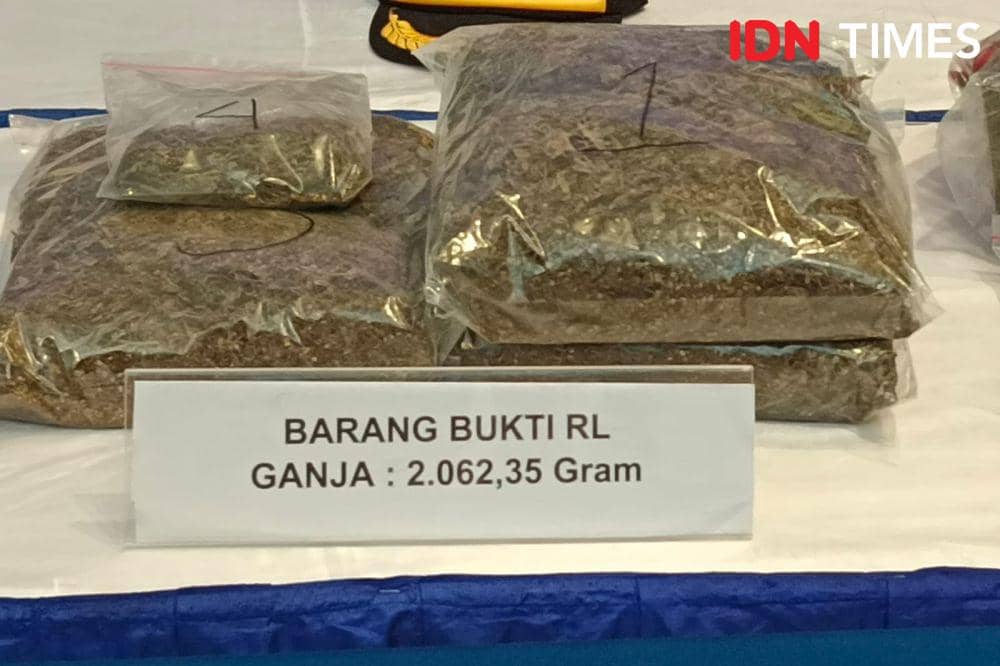 Barang bukti narkoba jenis ganja (IDN Times/Ayu Afria)