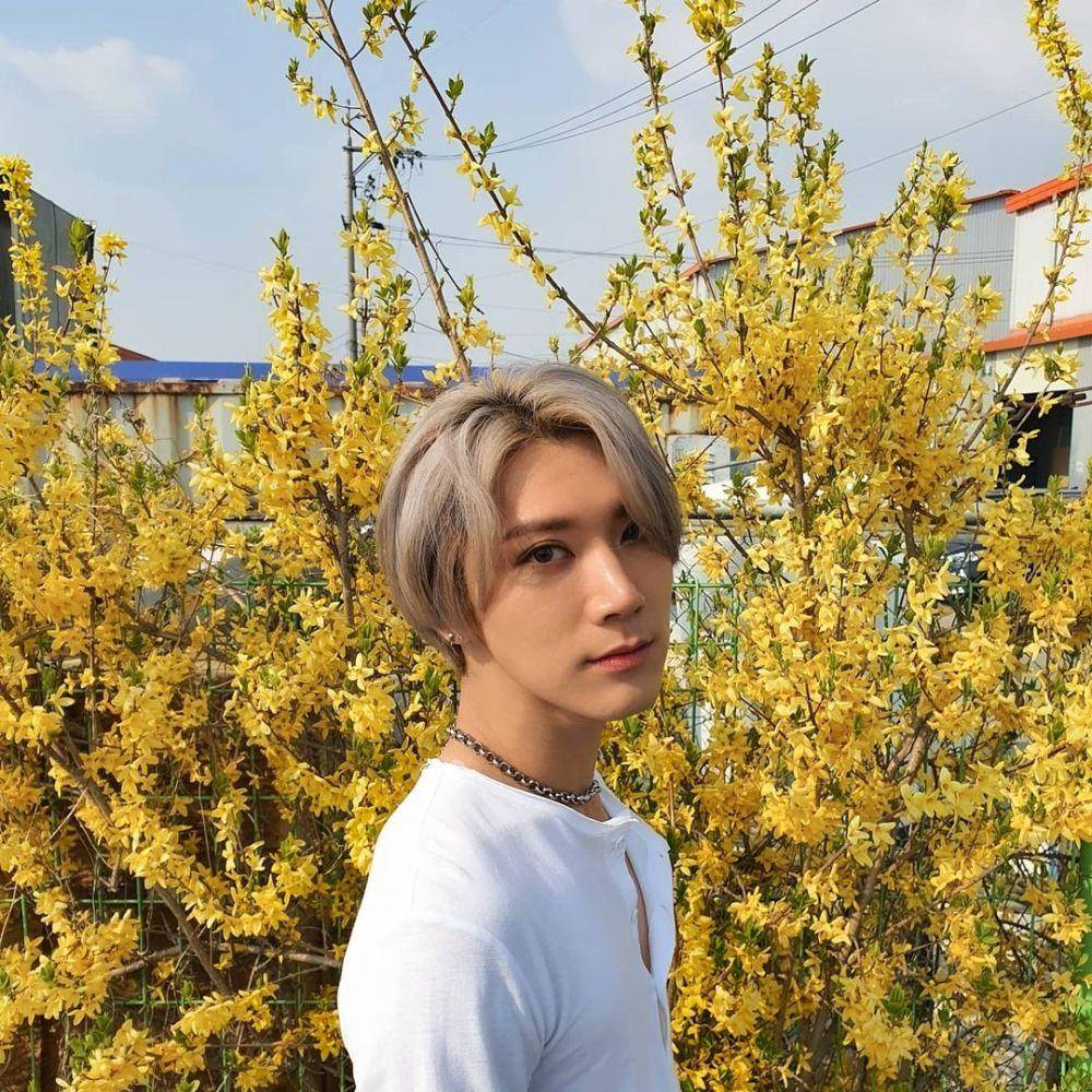 warna rambut ala Ten WayV (instagram.com/tenlee_1001)