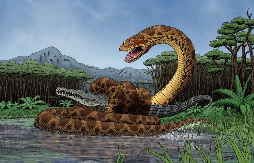 mangsa titanoboa (mongabay.co.id)