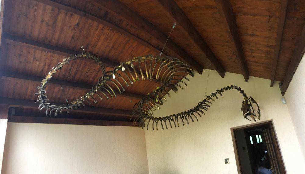 fosil titanoboa (deviantart.com)