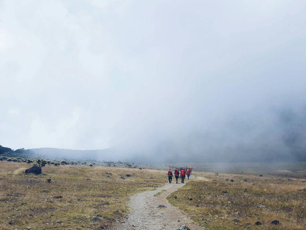 gunung gedé (unsplash.com/AFIM)