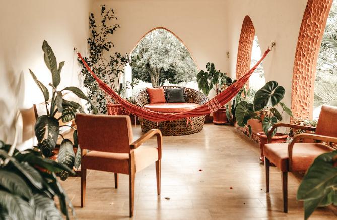 ilustrasi ruangan dengan houseplant (pexels.com/jonathanborba)