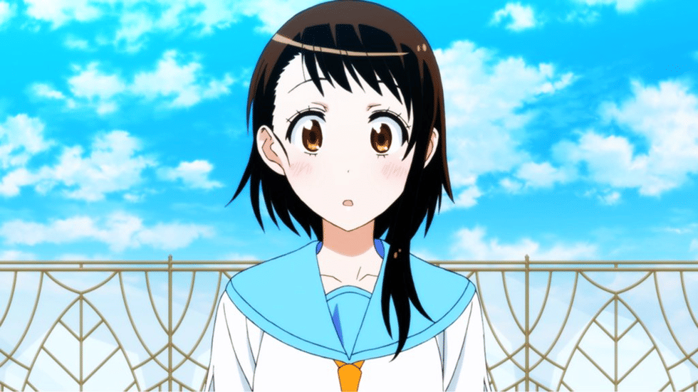 dok. Shaft/ Nisekoi
