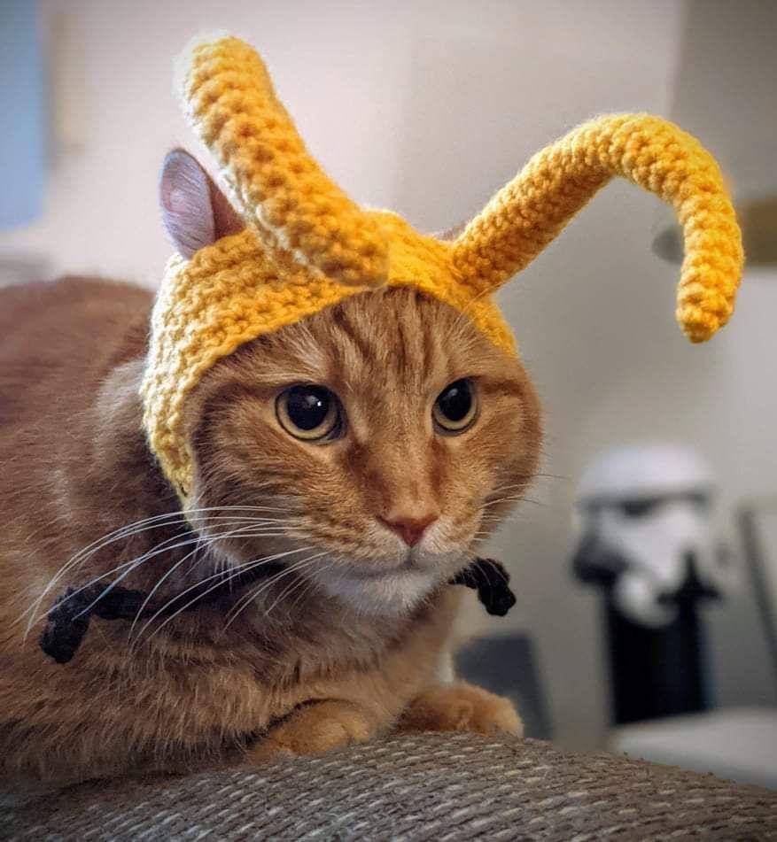 potret rajutan tangan bentuk Loki (reddit.com/user/minmelethuireb)