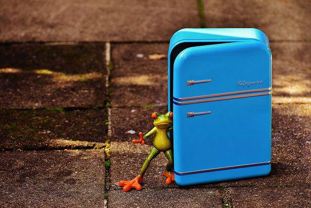 ilustrasi freezer (pixabay.com/Alexas_Fotos)