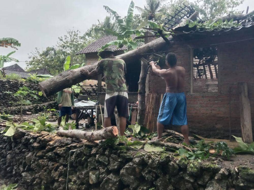 Hujan Lebat dan Angin Kencang di Bantul, 51 Pohon Tumbang