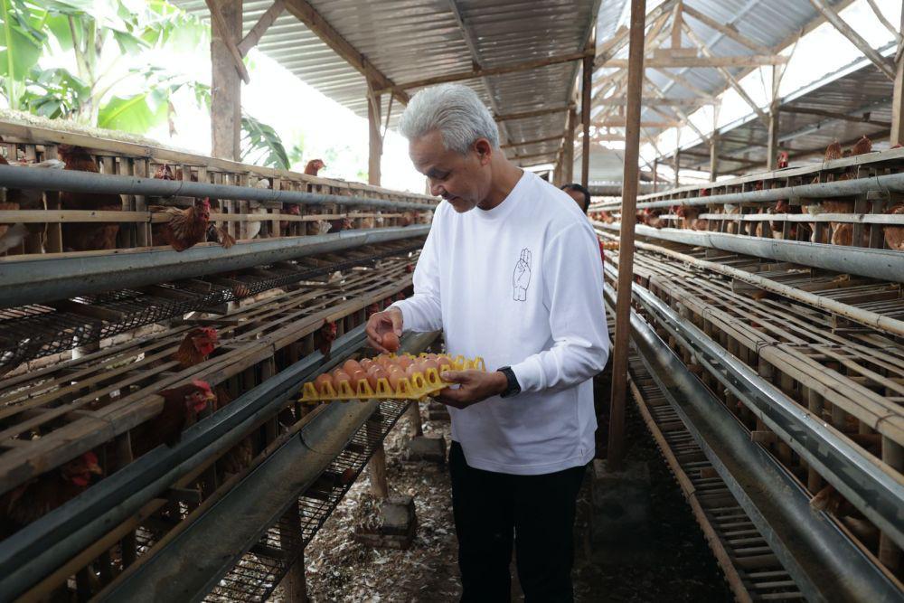 Ganjar Dengarkan Keluhan Peternak Ayam Magetan