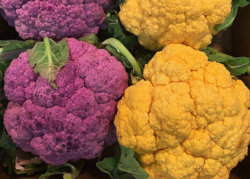 jenis brokoli ungu dan kuning (pixabay.com/pexels)
