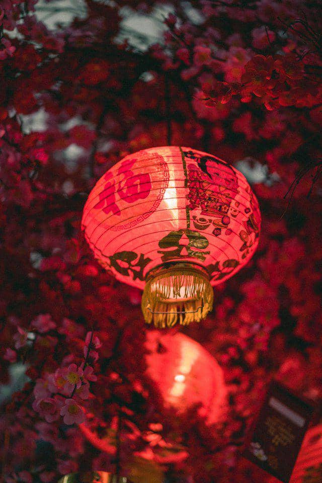 kreasi lampion unik dan eye-catching untuk imlek (unsplash.com/Sahil Pandita)