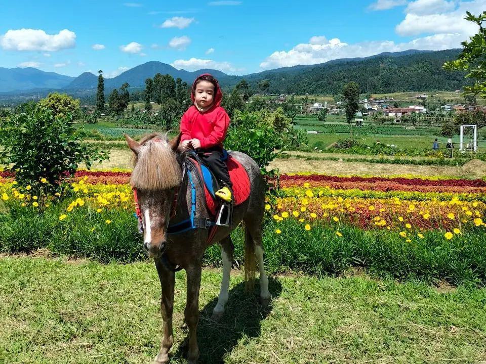 4 Wisata Edukasi Peternakan di Bandung, Asyiknya Pengalaman Baru