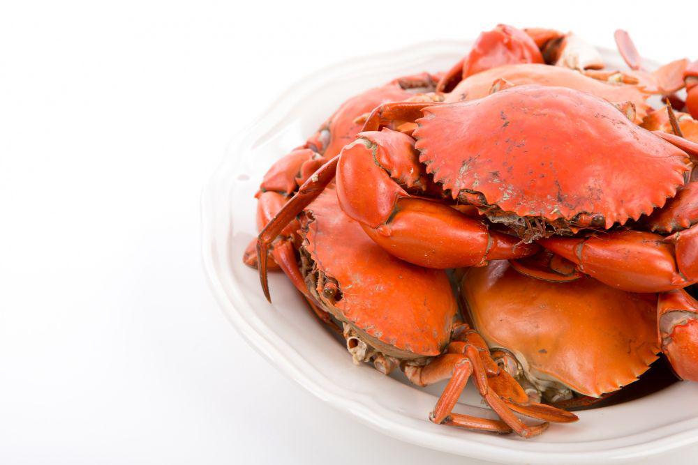 ilustrasi kepiting (freepik.com/jannoon028)
