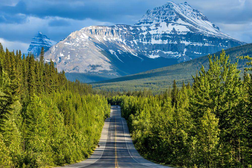 potret Icefield Parkway (istockphoto.com/seanxu)