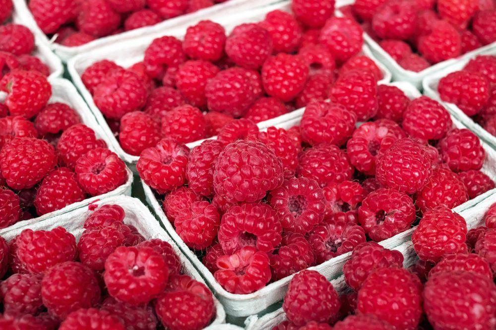ilustrasi buah raspberry segar dan matang (pixabay.com/Couleur)