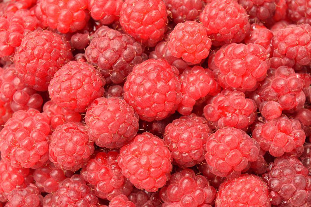 ilustrasi buah raspberry segar dan matang (pixabay.com/ulleo)