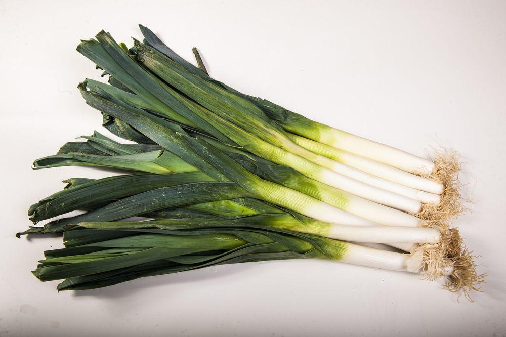 10 Tips Menanam Daun Bawang Sisa agar Cepat Tumbuh, Mudah dan Praktis!