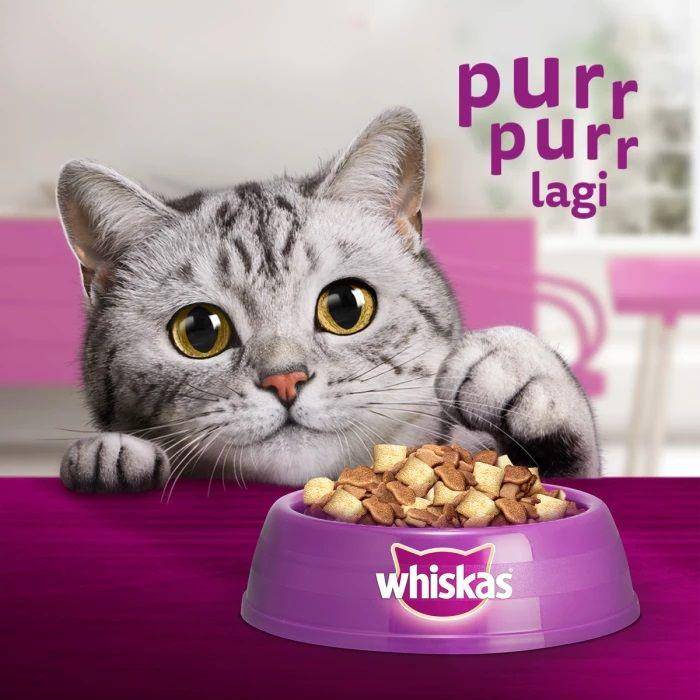 Ilustrasi produk dry food (Tokopedia/Whiskas Official Store)