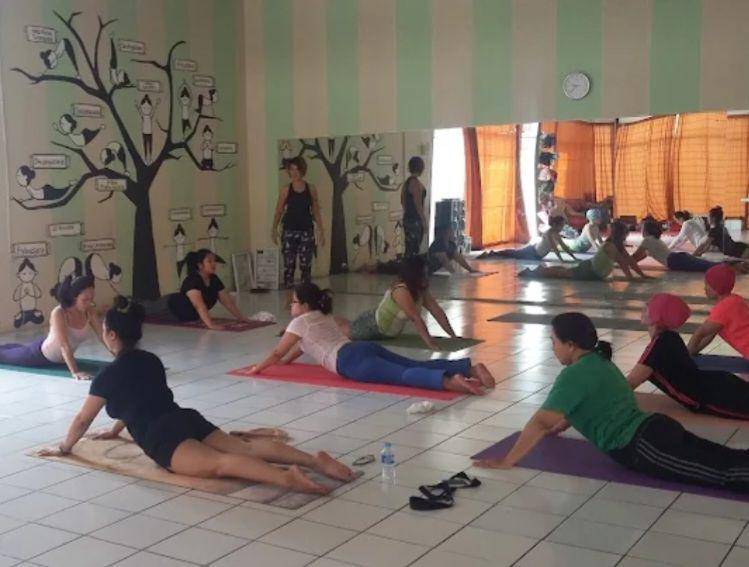 Dok. The Narendra Shala Yoga Pilates